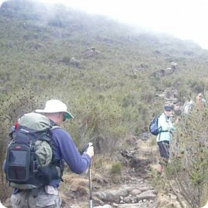 solar charger kilimanjaro