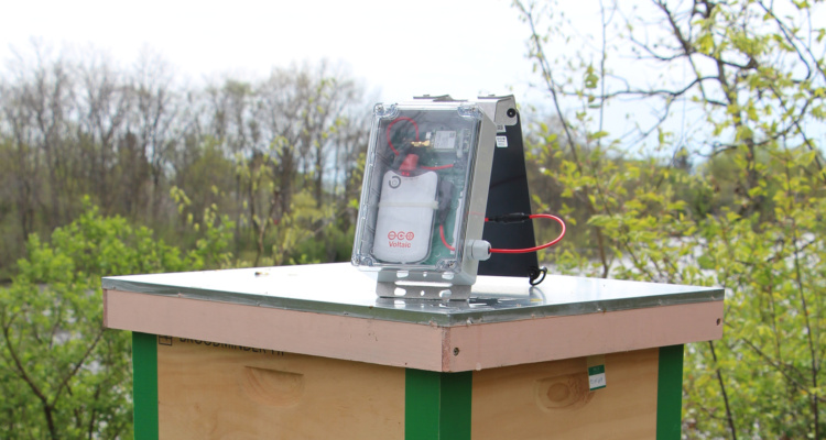 solar for beehive monitoring, solar for iot, solar beehive
