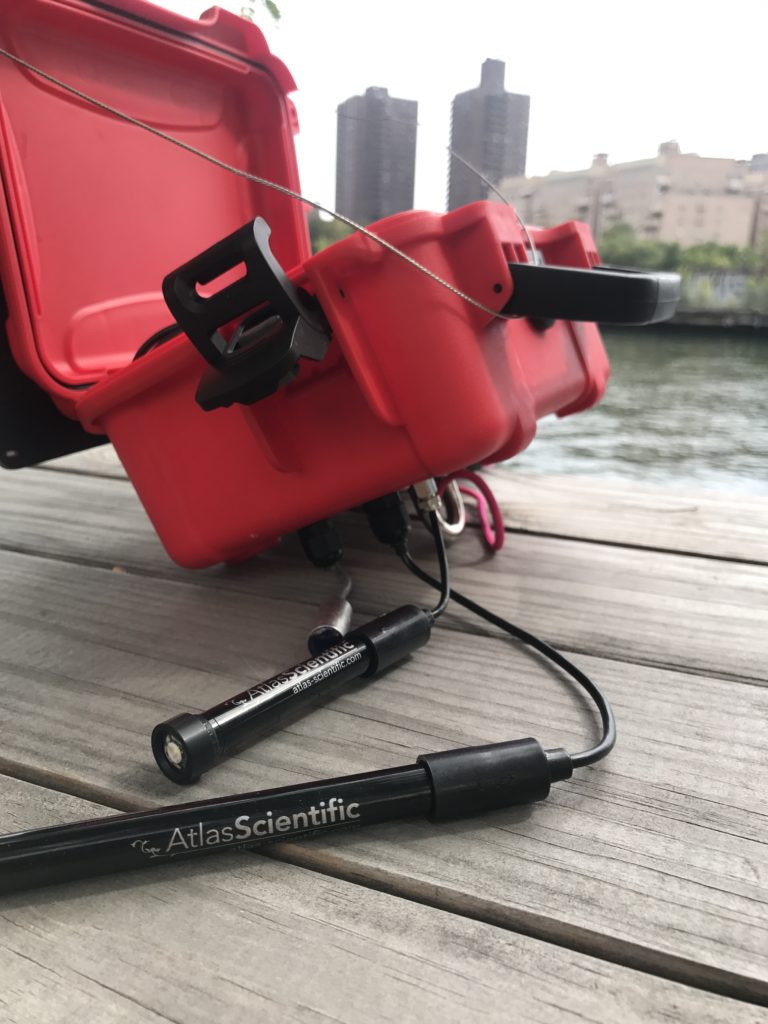 atlas sensors dissolve oxygen