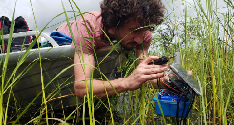 fieldkit, hackaday, conservify, solar powered sensor