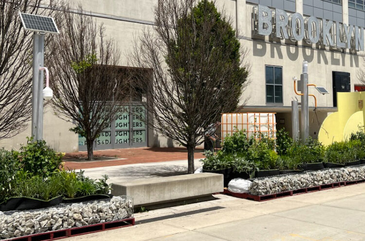 Hedgework: A Solar Powered Art Installation in Navy Yard