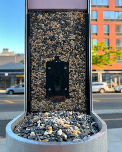 Hedgework Bird feeder