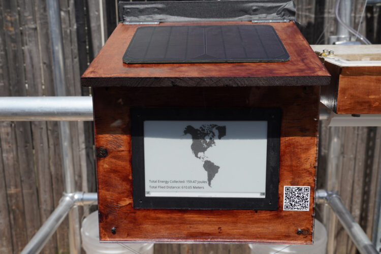 The project installed onsite, but missing the companion mechanical laser cut hummingbird wings