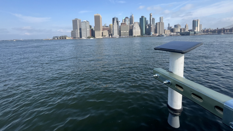 Solar-powered Hohonu sensor deployed in Brooklyn