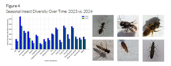 Bees in Solar-powered Insector Report