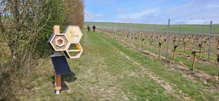 Solar-powered Bee Friendly's Insector