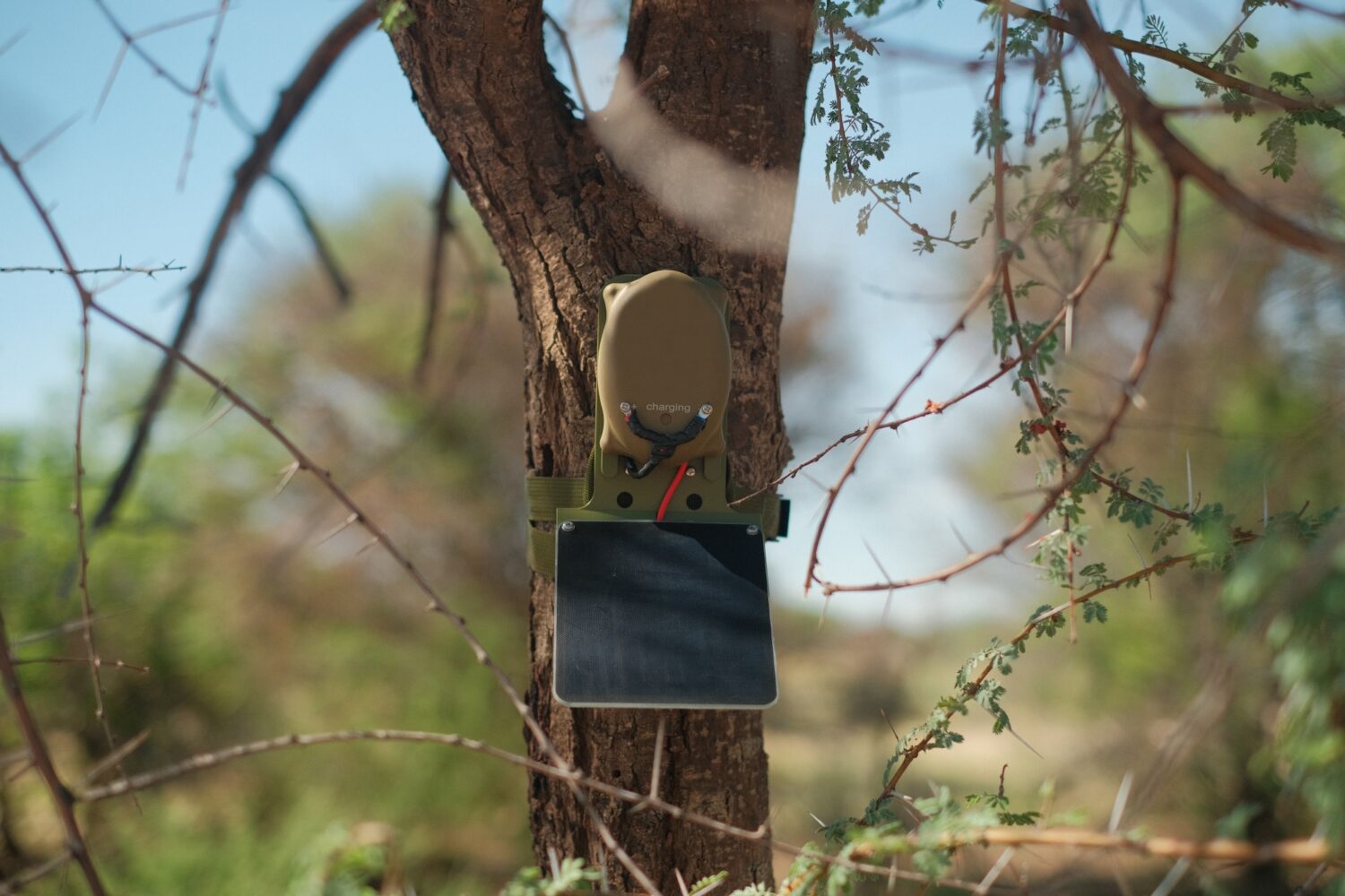 solar powered intrusion detection